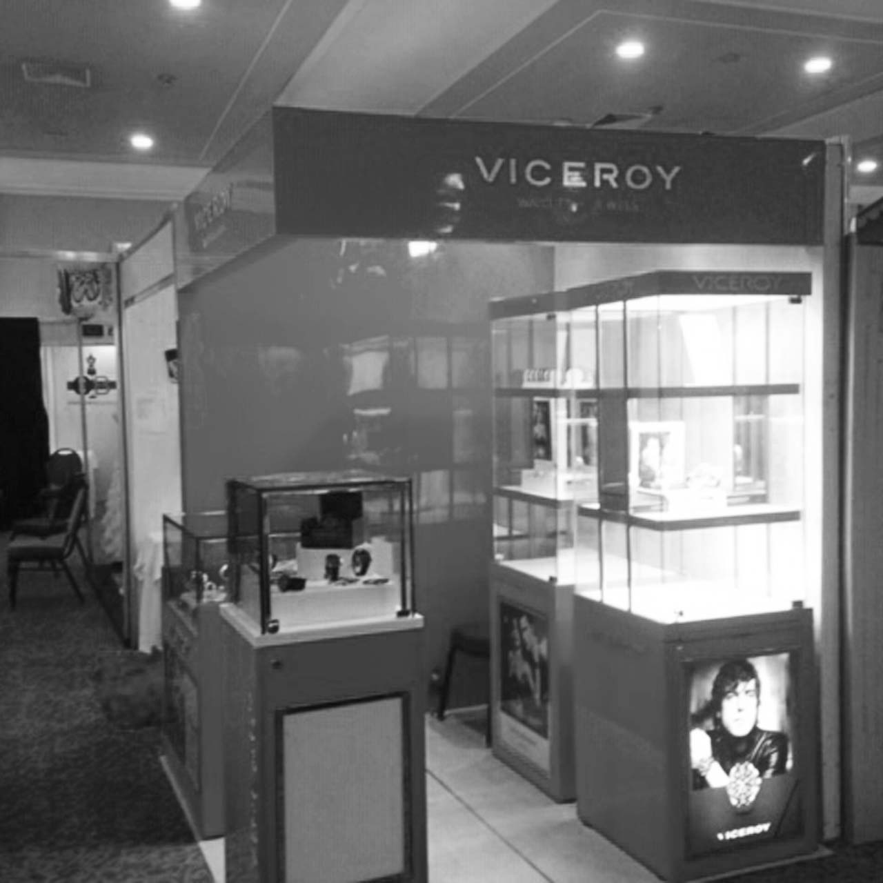 Proyecto7 Viceroy